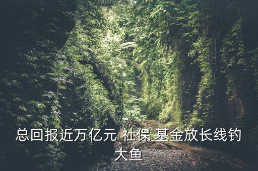 智利的社保基金投資收益率,社?；?022年投資收益率