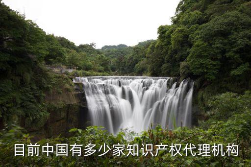 目前中國有多少家知識(shí)產(chǎn)權(quán)代理機(jī)構(gòu)