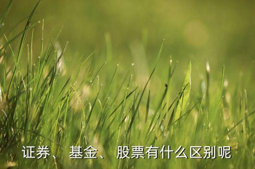 證券、 基金、 股票有什么區(qū)別呢