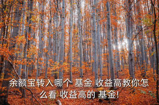 余額寶轉入哪個 基金 收益高教你怎么看 收益高的 基金!