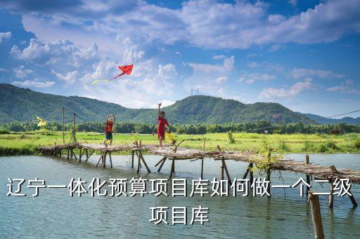 遼寧一體化預(yù)算項目庫如何做一個二級項目庫