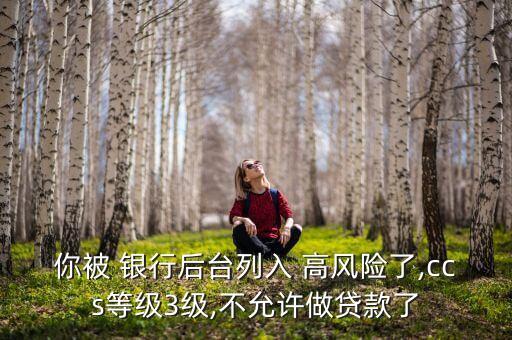 你被 銀行后臺(tái)列入 高風(fēng)險(xiǎn)了,ccs等級3級,不允許做貸款了