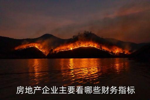  房地產(chǎn)企業(yè)主要看哪些財務指標
