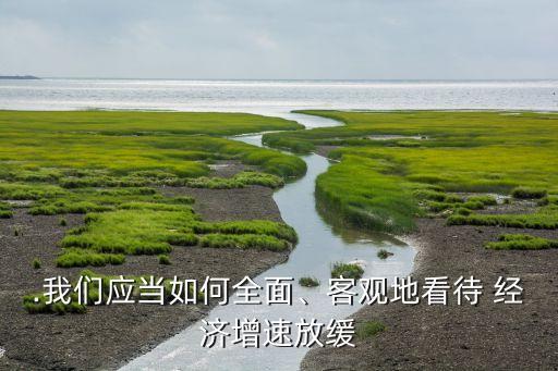 .我們應(yīng)當(dāng)如何全面、客觀地看待 經(jīng)濟增速放緩