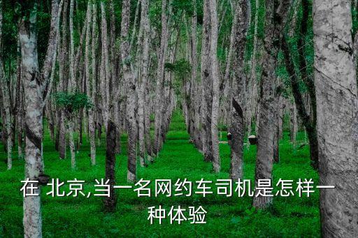 在 北京,當(dāng)一名網(wǎng)約車(chē)司機(jī)是怎樣一種體驗(yàn)