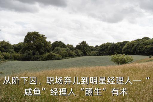 從階下囚、職場棄兒到明星經(jīng)理人—“咸魚”經(jīng)理人“翻生”有術(shù)