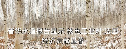 普華永道報(bào)告顯示 核電工業(yè)對(duì) 法國(guó)經(jīng)濟(jì)貢獻(xiàn)顯著