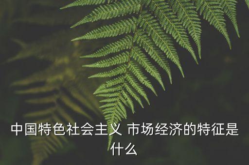 中國(guó)市場(chǎng)經(jīng)濟(jì)報(bào)告,中國(guó)什么時(shí)候開始市場(chǎng)經(jīng)濟(jì)