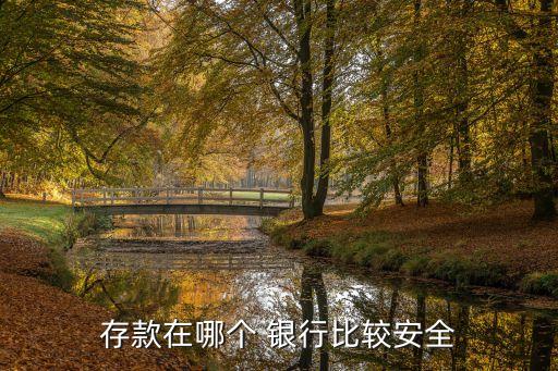 存錢(qián)那個(gè)銀行最安全,存錢(qián)存哪家銀行利息最高