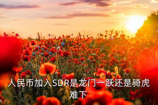 人民幣加入SDR是龍門(mén)一躍還是騎虎難下
