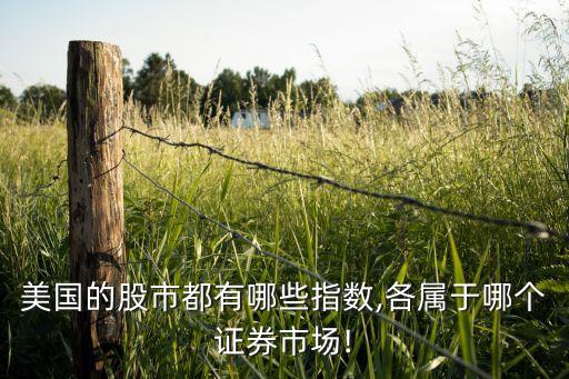 美國的股市都有哪些指數,各屬于哪個證券市場!