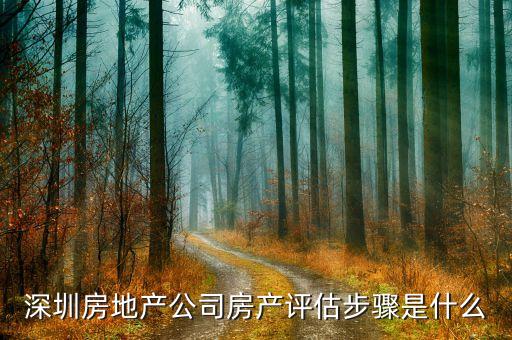 深圳房地產公司房產評估步驟是什么