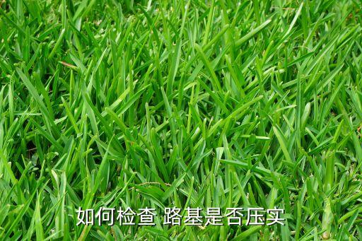 上海塘灣路基材料廠(chǎng)