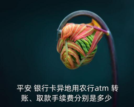  平安 銀行卡異地用農(nóng)行atm 轉(zhuǎn)賬、取款手續(xù)費(fèi)分別是多少
