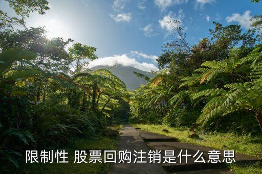 限制性 股票回購(gòu)注銷(xiāo)是什么意思