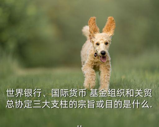 世界銀行、國(guó)際貨幣 基金組織和關(guān)貿(mào)總協(xié)定三大支柱的宗旨或目的是什么...