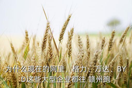 為什么現(xiàn)在的阿里、格力、萬達(dá)、BYD這些大型企業(yè)都往 贛州跑