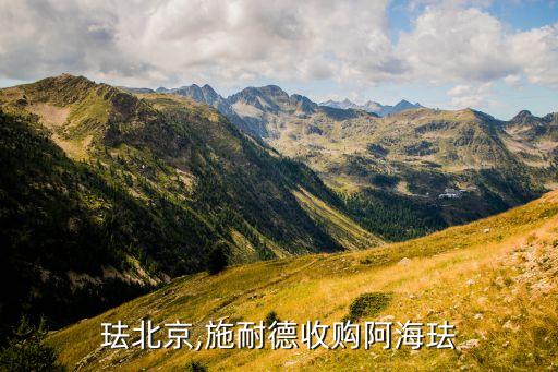 阿?，m北京,施耐德收購阿海琺