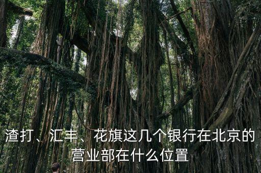 渣打、匯豐、花旗這幾個(gè)銀行在北京的營(yíng)業(yè)部在什么位置