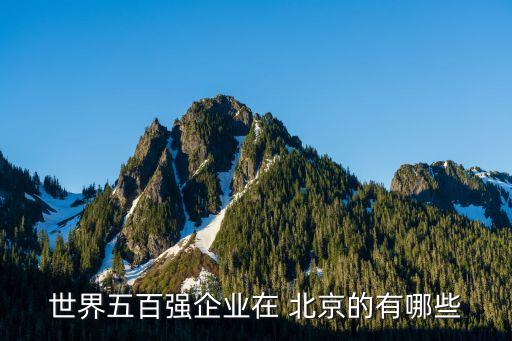 世界五百?gòu)?qiáng)企業(yè)在 北京的有哪些