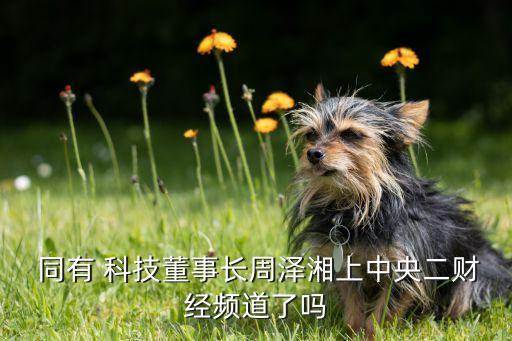  同有 科技董事長周澤湘上中央二財經頻道了嗎