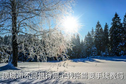 同城市不同銀行網(wǎng)上轉賬需要手續(xù)費嗎