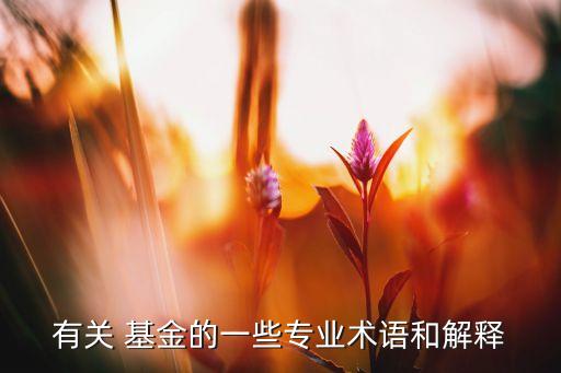 國債基金投資目標(biāo)側(cè)重于,比較股票、國債和基金的投資價值