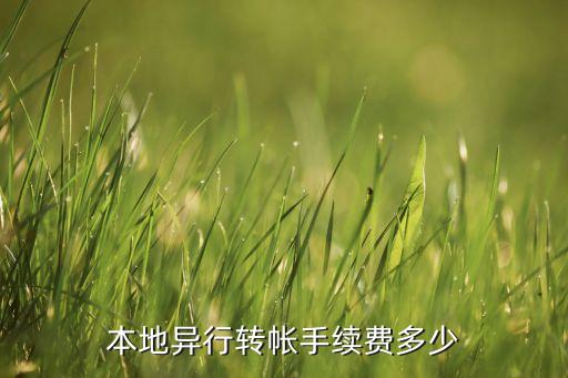 本地異行轉帳手續(xù)費多少