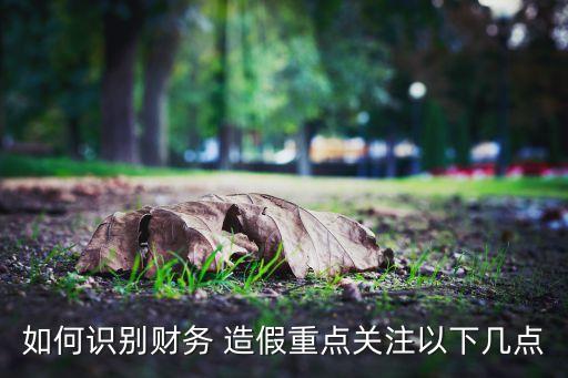 如何識別財(cái)務(wù) 造假重點(diǎn)關(guān)注以下幾點(diǎn)