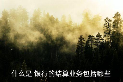 什么是 銀行的結算業(yè)務包括哪些