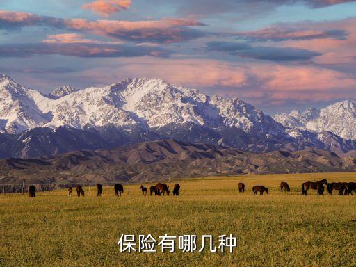 中國再保險(xiǎn)分為哪幾類,再保險(xiǎn)形式分為哪幾種
