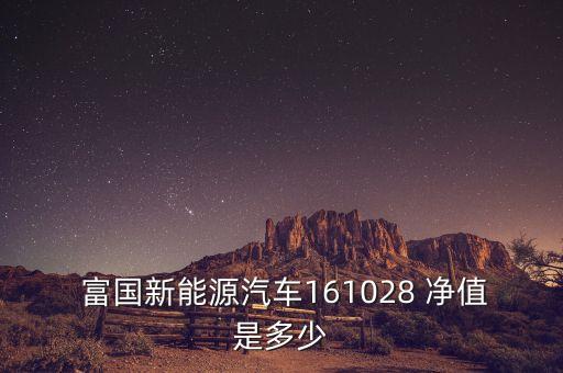  富國(guó)新能源汽車(chē)161028 凈值是多少