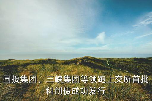 國(guó)投集團(tuán)、三峽集團(tuán)等領(lǐng)跑上交所首批科創(chuàng)債成功發(fā)行
