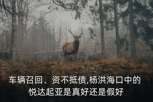 車輛召回、資不抵債,楊洪?？谥械?悅達(dá)起亞是真好還是假好