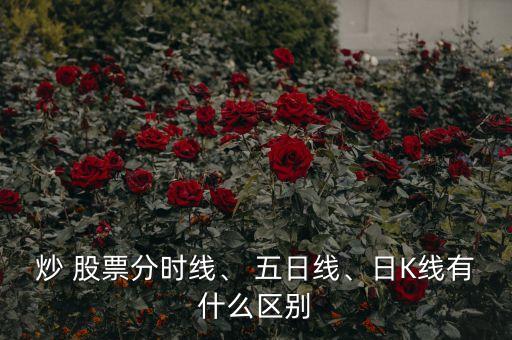 炒 股票分時線、 五日線、日K線有什么區(qū)別
