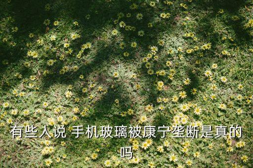做手機屏幕的上市公司000725,生產手機屏幕的上市公司有哪些