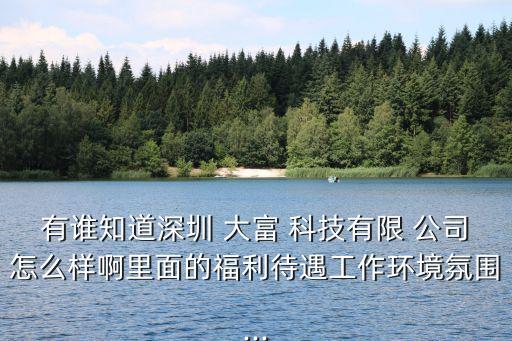 大富科技公司的盈利能力,錦大富環(huán)?？萍脊?/></a></span><span id=