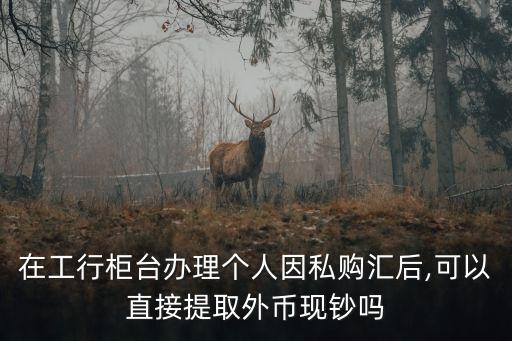在工行柜臺辦理個(gè)人因私購匯后,可以直接提取外幣現(xiàn)鈔嗎