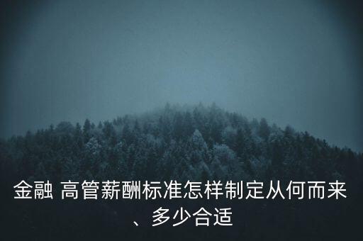 金融 高管薪酬標(biāo)準(zhǔn)怎樣制定從何而來(lái)、多少合適