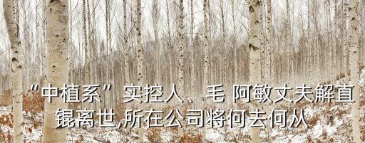 “中植系”實控人、毛 阿敏丈夫解直錕離世,所在公司將何去何從
