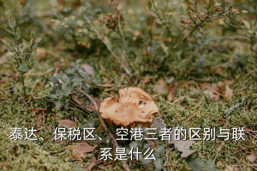泰達(dá)、保稅區(qū)、 空港三者的區(qū)別與聯(lián)系是什么