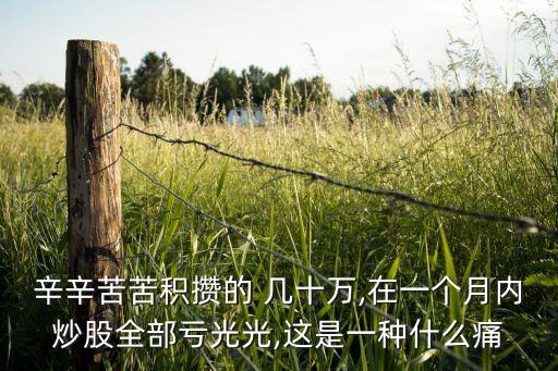 辛辛苦苦積攢的 幾十萬,在一個(gè)月內(nèi)炒股全部虧光光,這是一種什么痛
