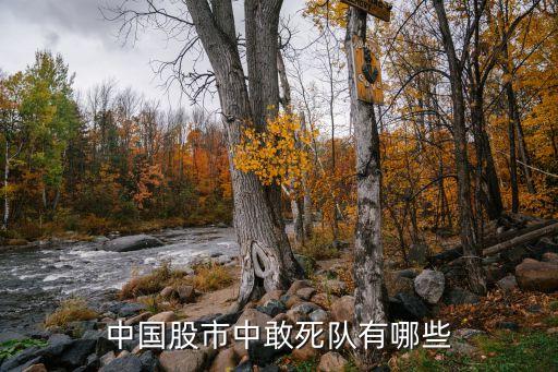 中國股市中敢死隊(duì)有哪些