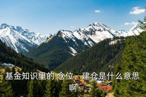 基金知識里的 倉位、建倉是什么意思啊