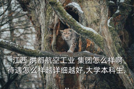  江西 洪都航空工業(yè) 集團怎么樣啊待遇怎么樣越詳細越好,大學(xué)本科生...