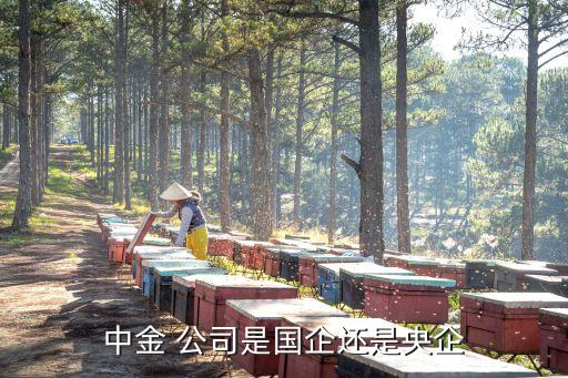 中金公司與中金數據,中金所數據和中金所技術
