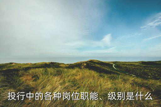 投行中的各種崗位職能、級別是什么