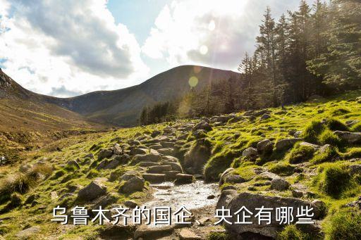 烏魯木齊的國企、央企有哪些
