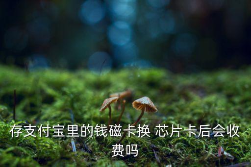 存支付寶里的錢(qián)磁卡換 芯片卡后會(huì)收費(fèi)嗎