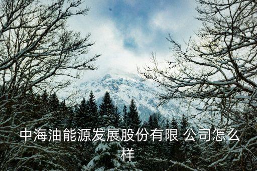 中海油海南lng公司,海南中海油招聘網最新招聘